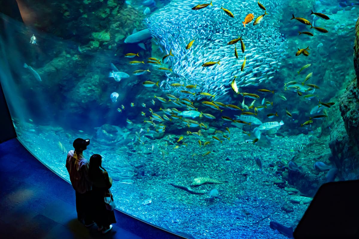 Enoshima Aquarium