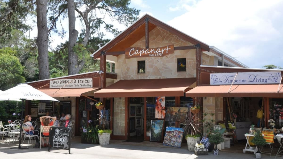 Kangaroos and Koalas Tour with Morning Tea from Gold Coast