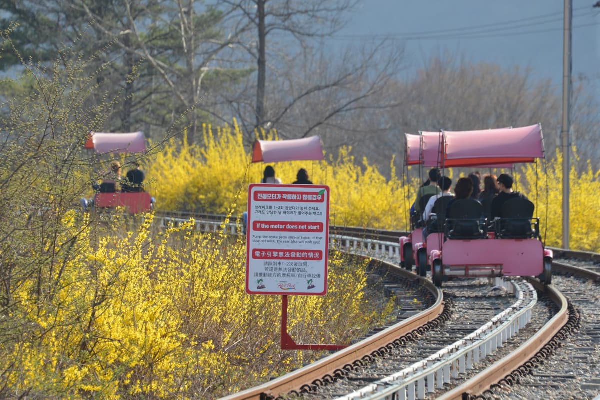 Nami Island, Petite France, Italian Village, and Gangchon Rail Bike Tour from Seoul