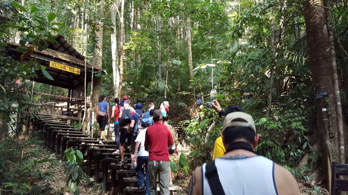 Taman Negara National Park Tour from Kuala Lumpur