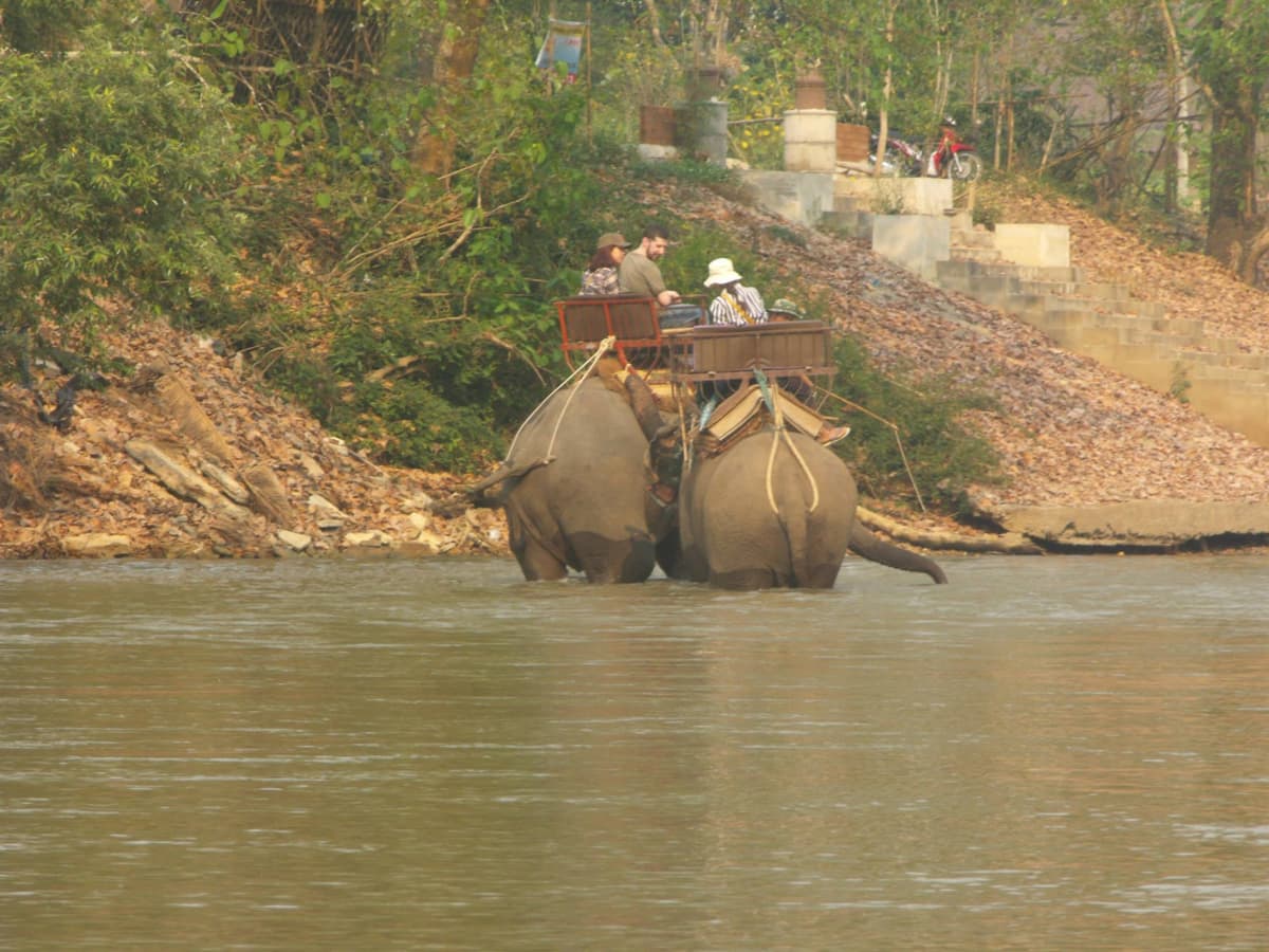 Maesa Elephant Camp