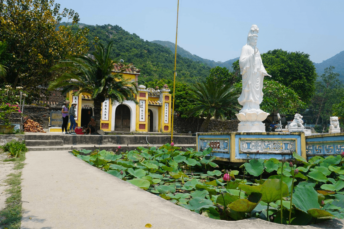 Cham Island Tour from Da Nang