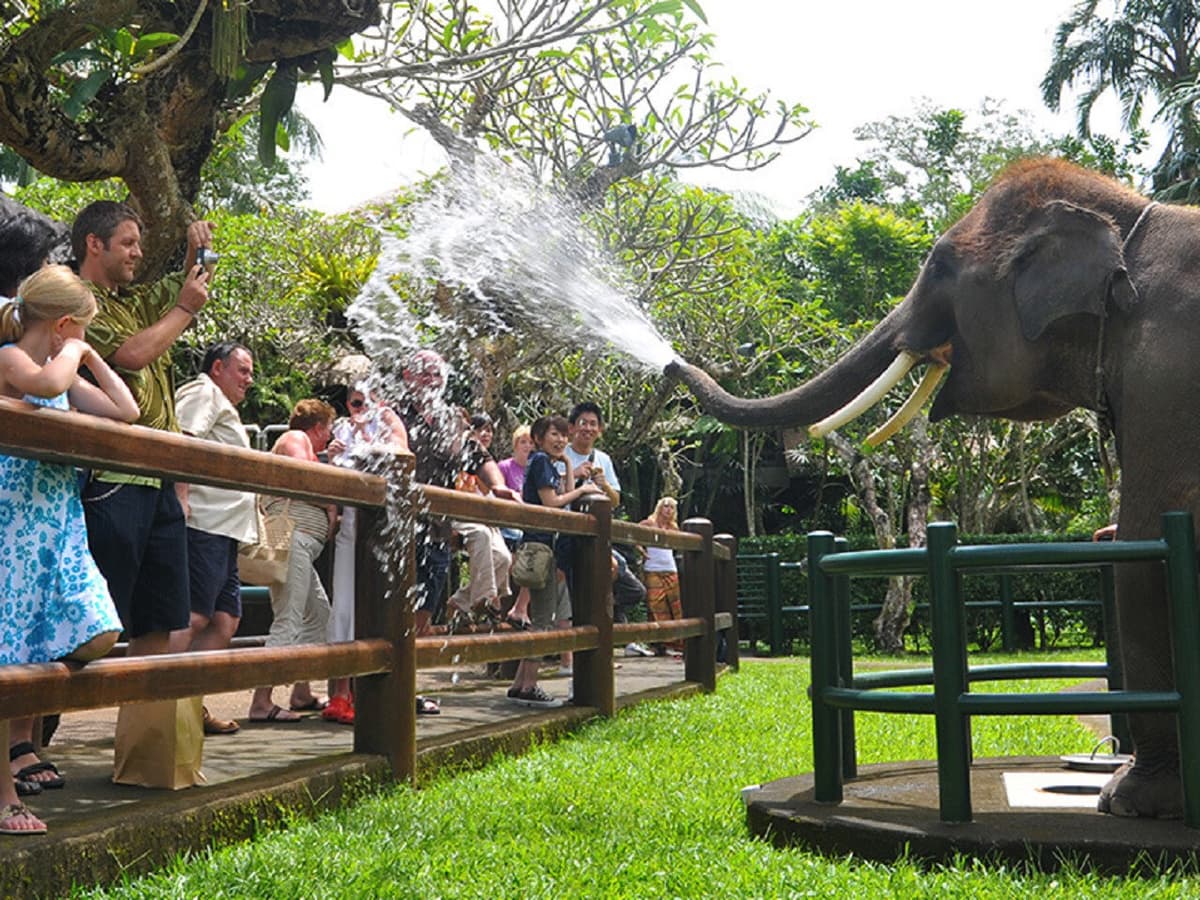 Mason Elephant Park Bali by Mason Adventures (Formerly known as Elephant Safari Park)