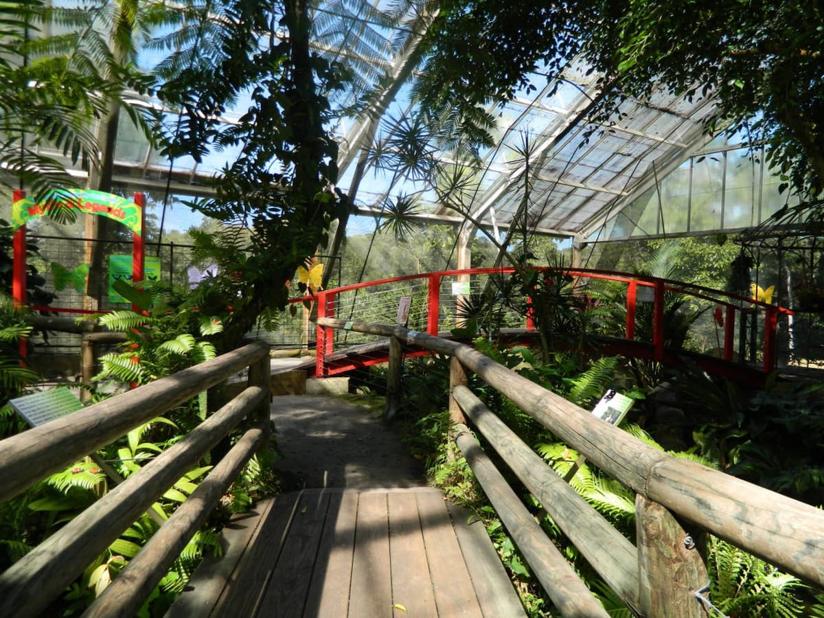 Australian Butterfly Sanctuary