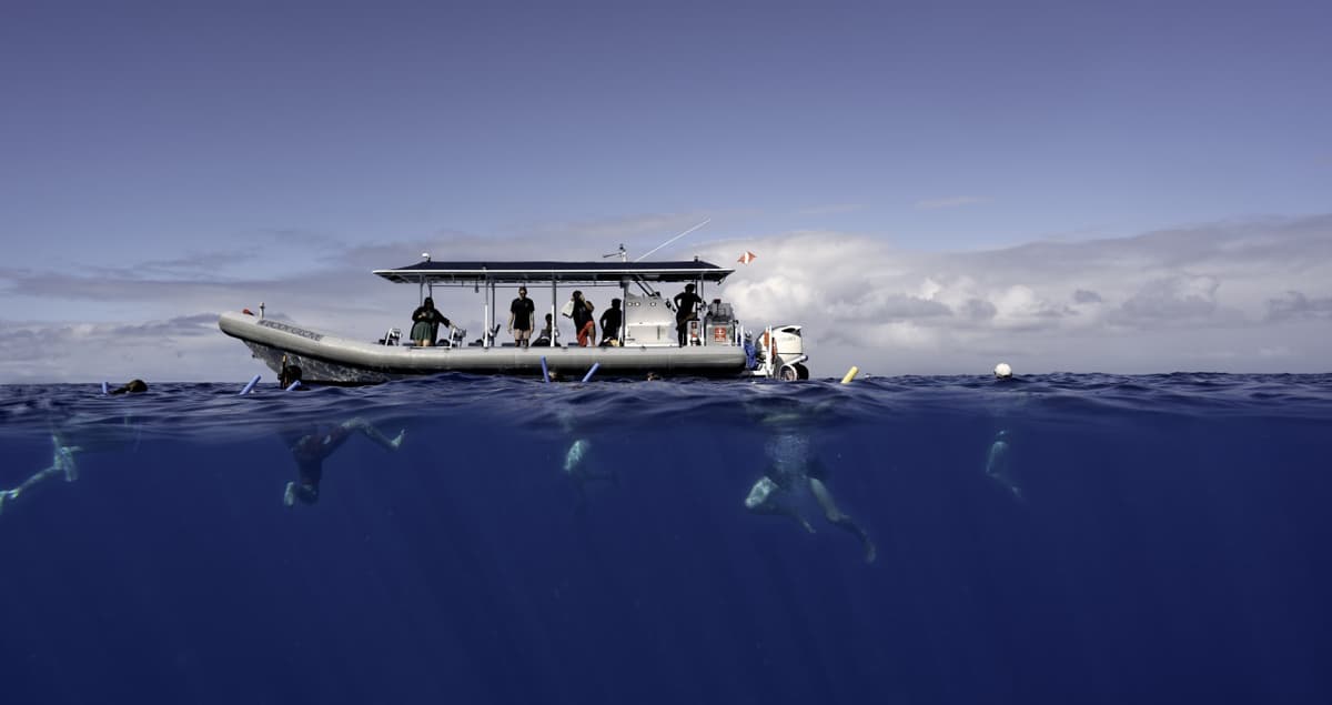 Kona Super-Raft Tours by Body Glove Cruises