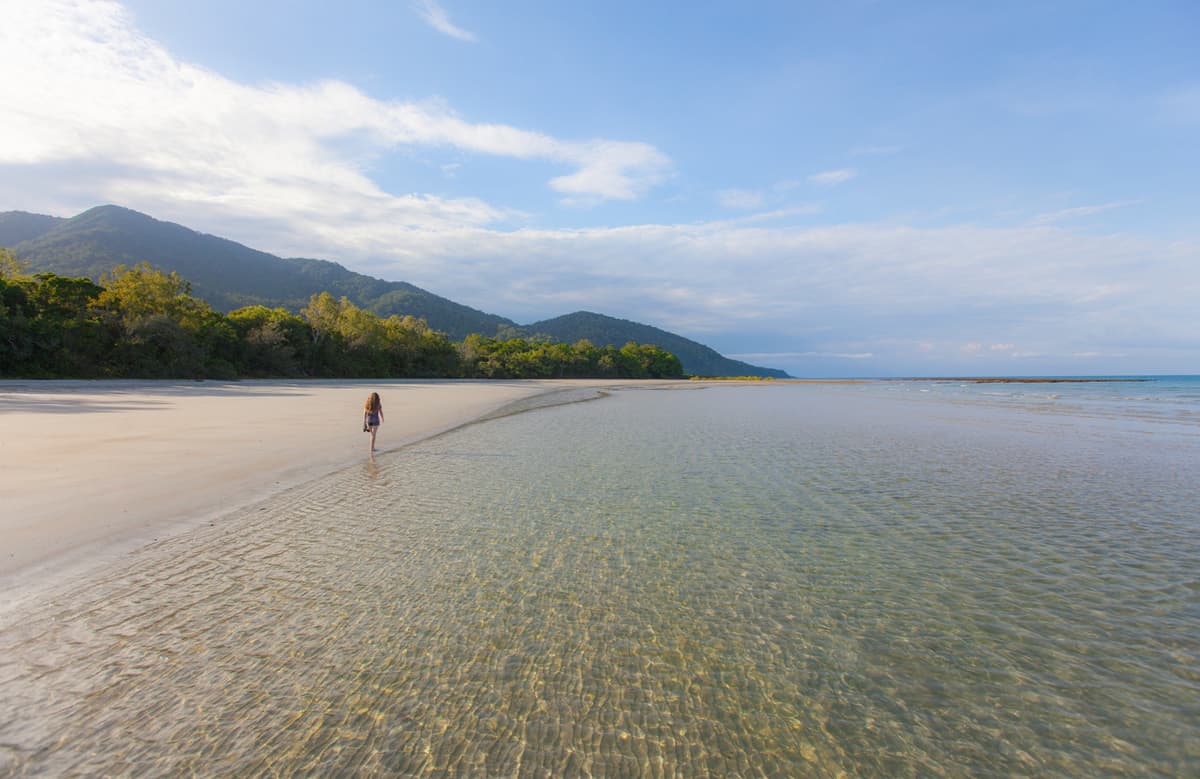 Cape Tribulation and Daintree Wilderness Full-Day Tour