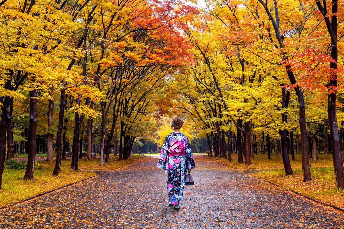 Professional Photo Shoot in Tokyo