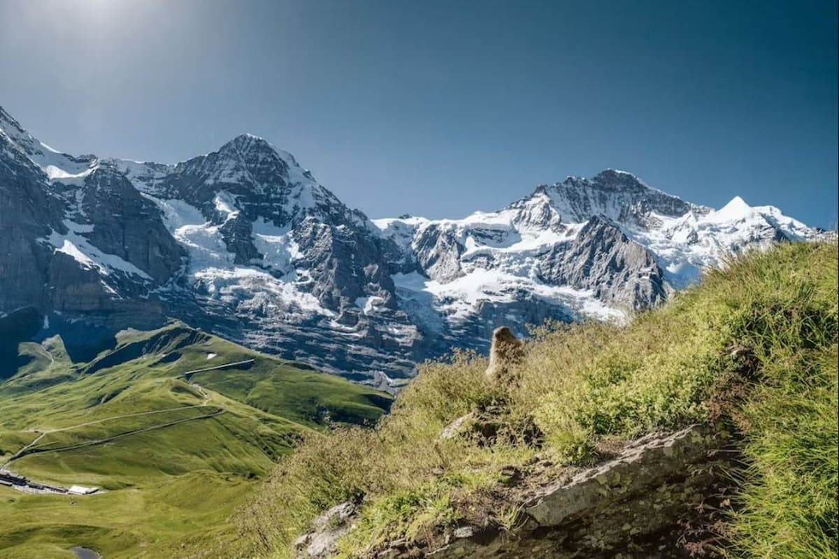 Jungfraujoch: Roundtrip Train from Grindelwald