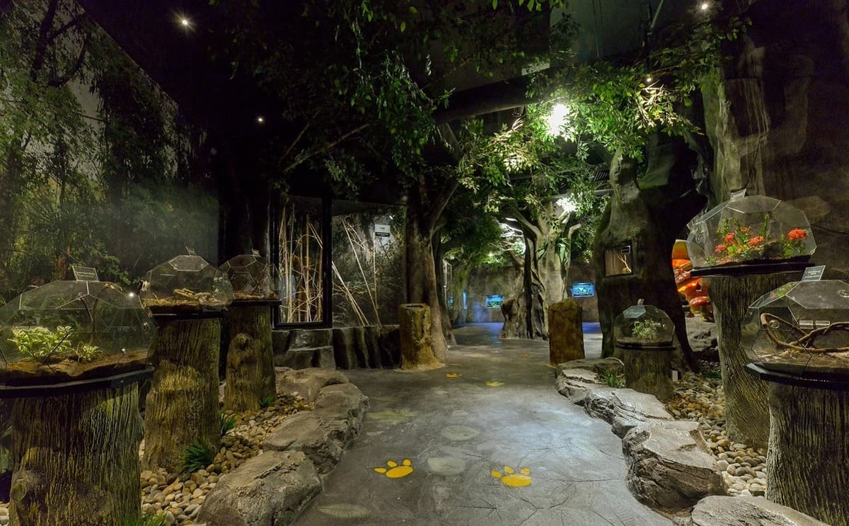 Entopia by Penang Butterfly Farm Ticket