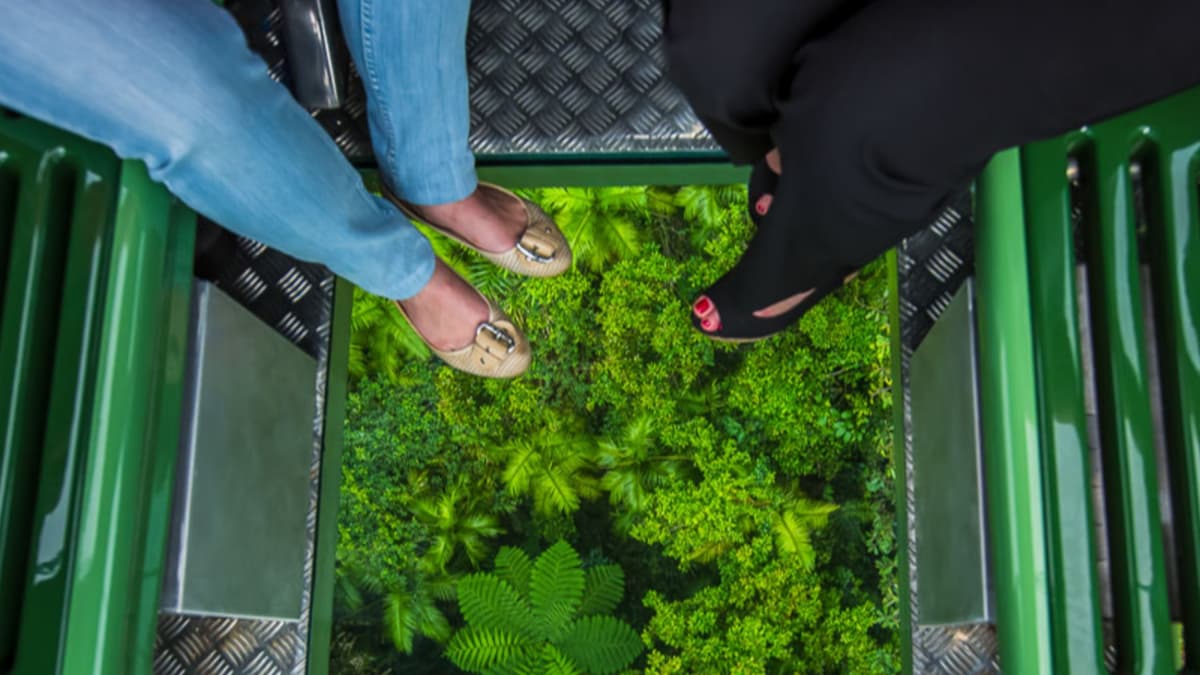 Skyrail Rainforest Cableway with Optional Kuranda Scenic Train Ticket and Hotel Pick-Up
