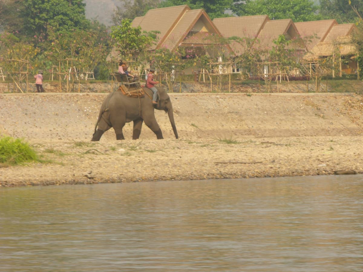 Maesa Elephant Camp