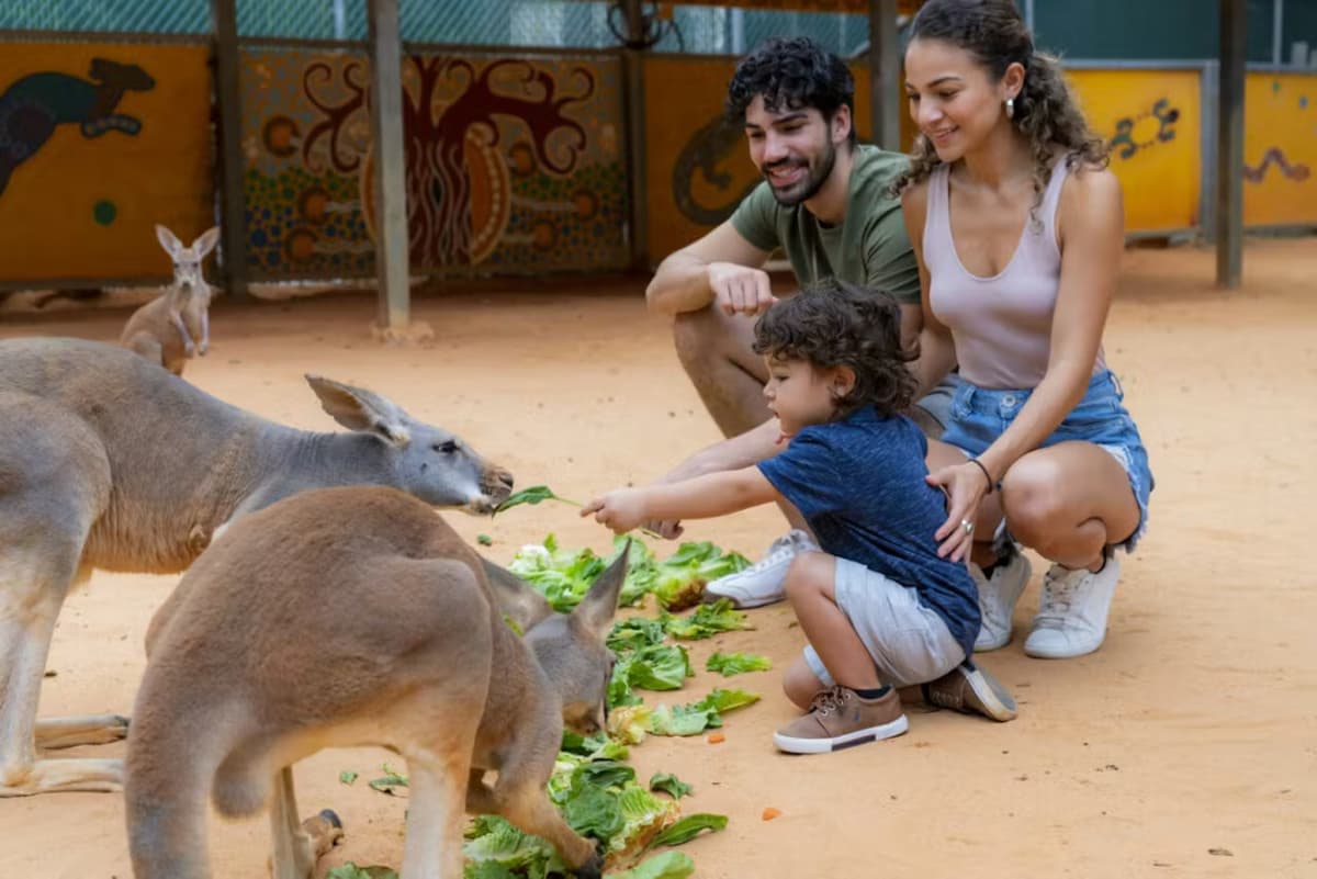 San Antonio Zoo Ticket