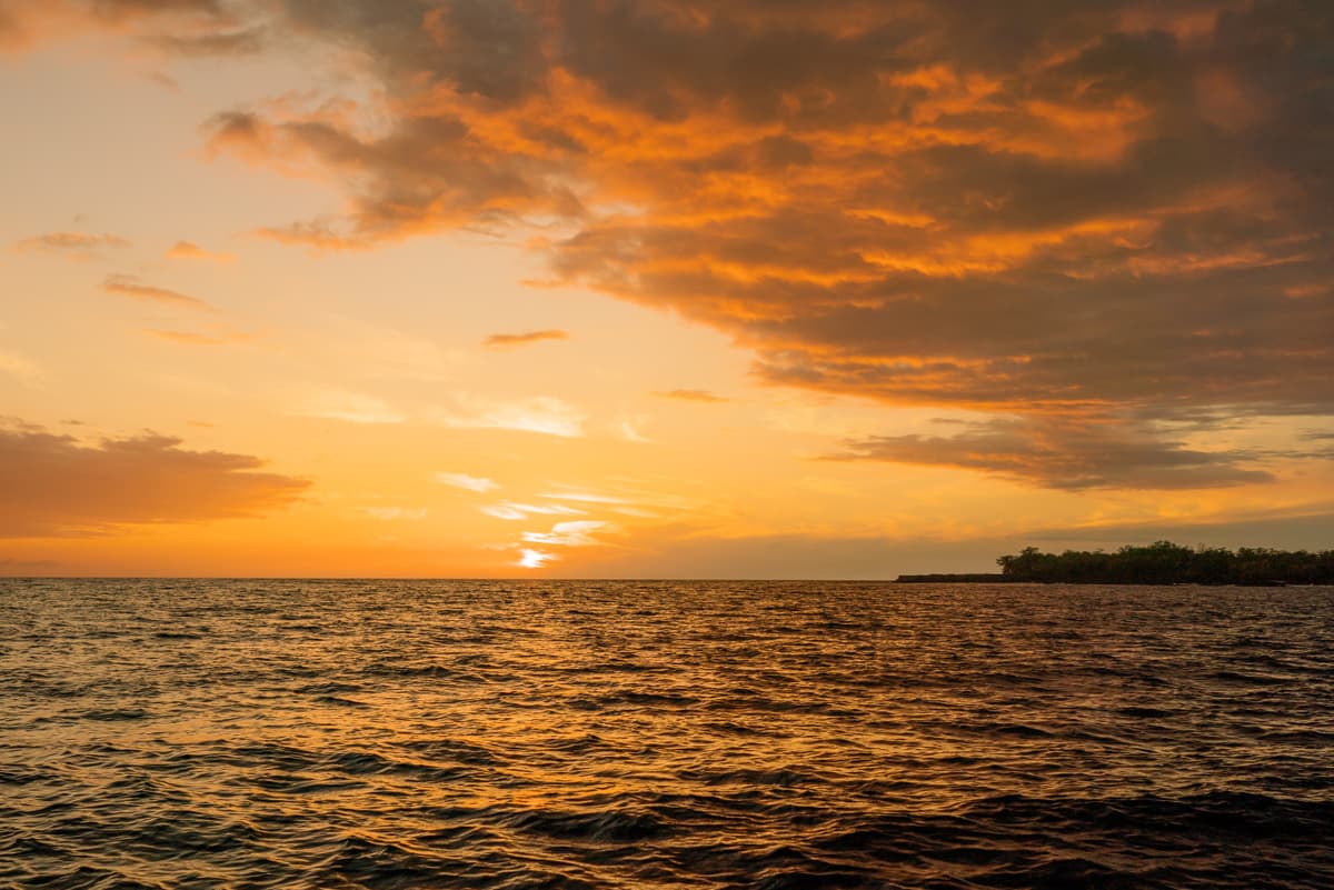 Kona Super-Raft Tours by Body Glove Cruises