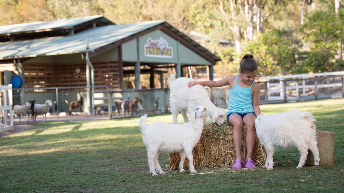 Paradise Country Farm Ticket