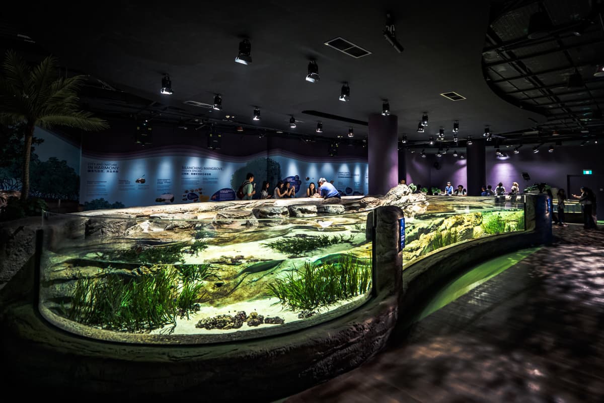 COMBO: Singapore Oceanarium + Gardens by the Bay Ticket