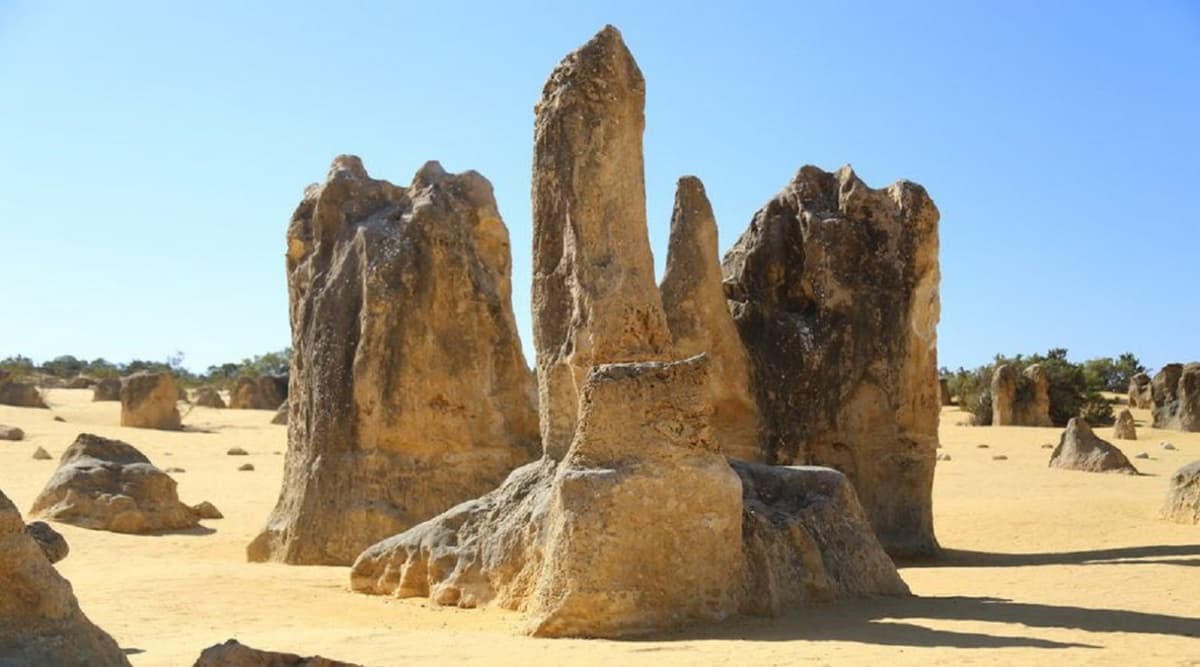 Pinnacles Desert and New Norcia Tour from Perth