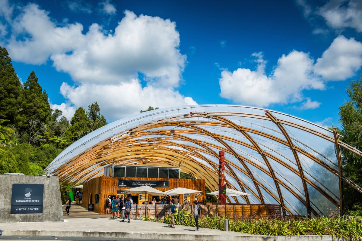 Waitomo Glowworm Caves Tour from Rotorua