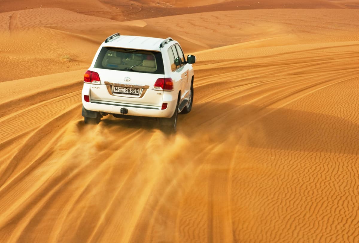 Liwa Desert Safari Tour