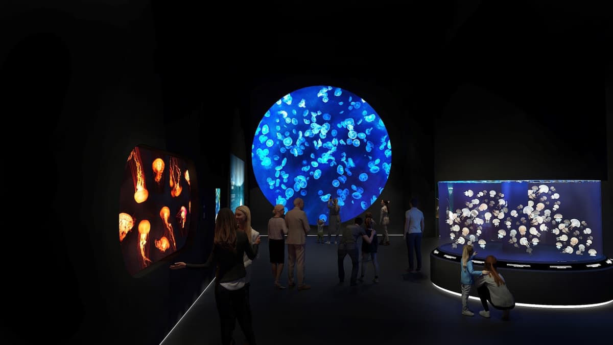 Singapore Oceanarium Insider Experience