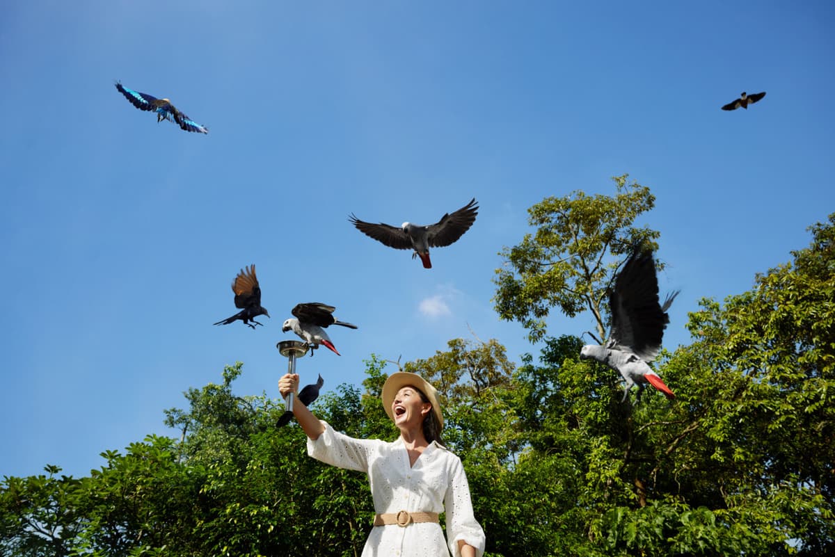 2-Park Destination Pass: Singapore Night Safari + Bird Paradise Tickets