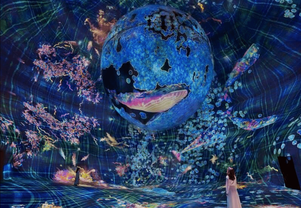 teamLab Phenomena Abu Dhabi Ticket