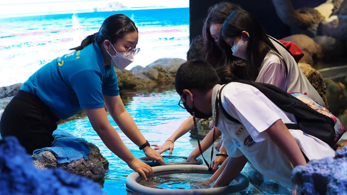 SEA LIFE Bangkok Ocean World Ticket