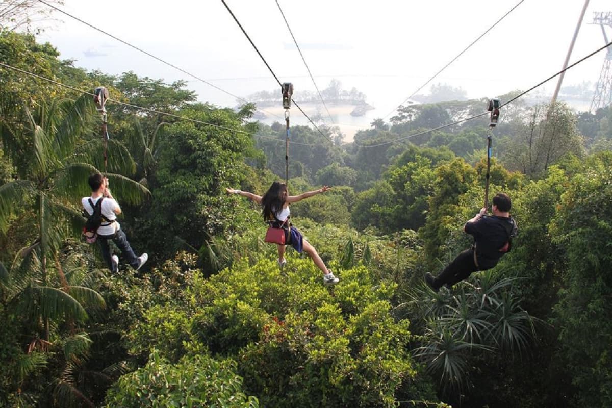 COMBO: Singapore Cable Car + MegaZip at Mega Adventure Park