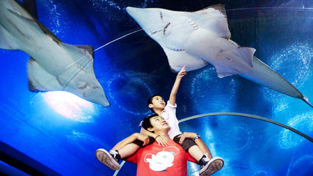 Underwater World Pattaya