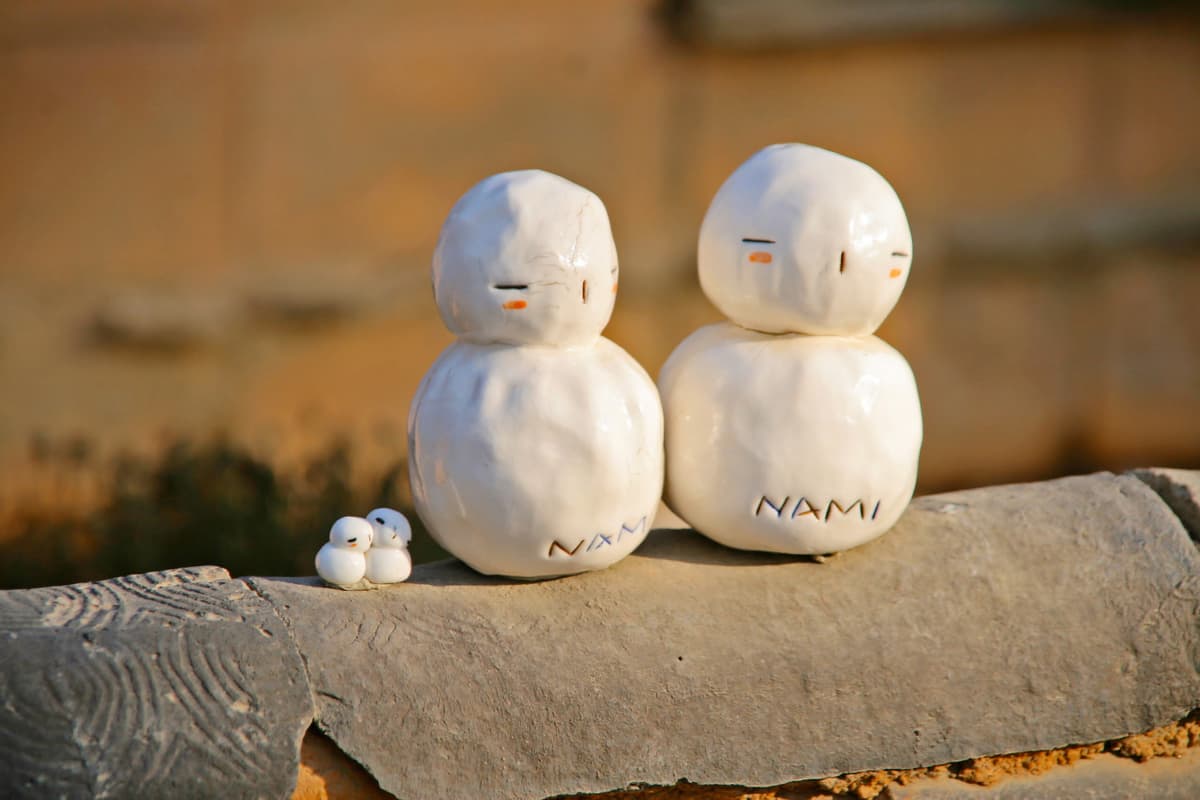 Nami Island and Garden of Morning Calm Tour from Seoul