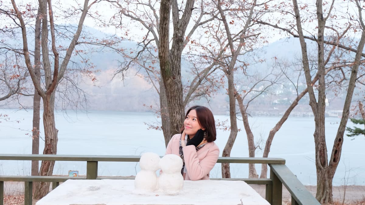 Nami Island and Garden of Morning Calm Tour from Seoul