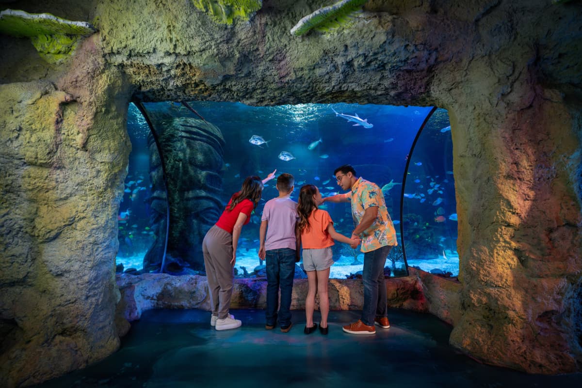 SEA LIFE Orlando Aquarium Ticket