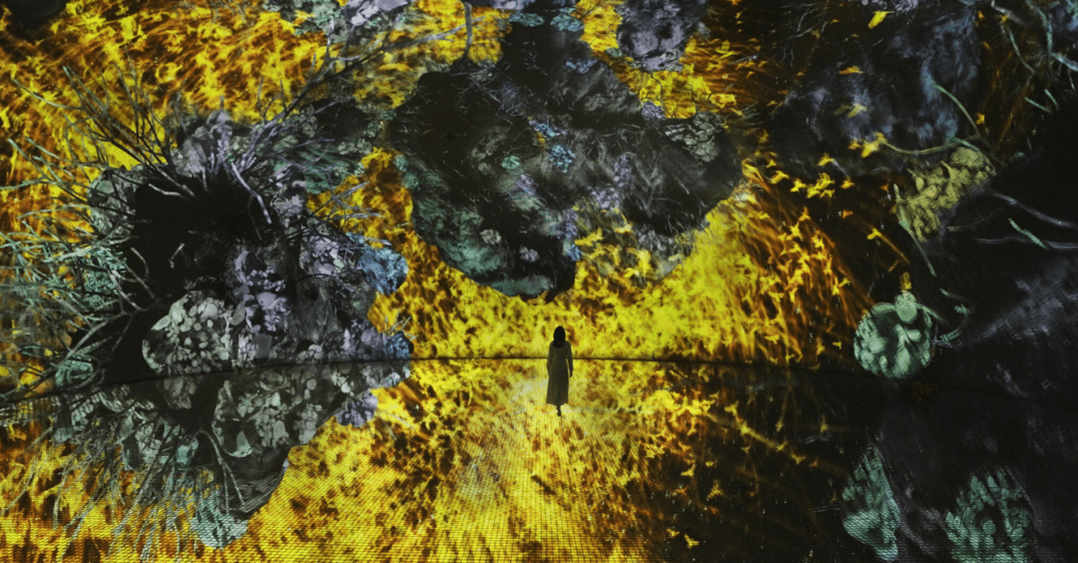 teamLab Phenomena Abu Dhabi Ticket