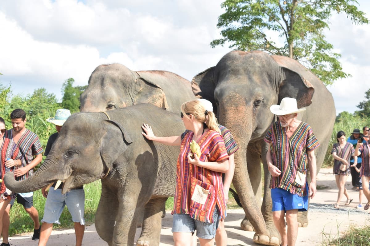 Elephant Jungle Sanctuary Pattaya