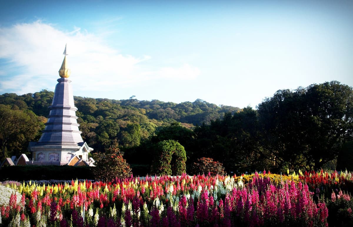 Doi Inthanon National Park Tour