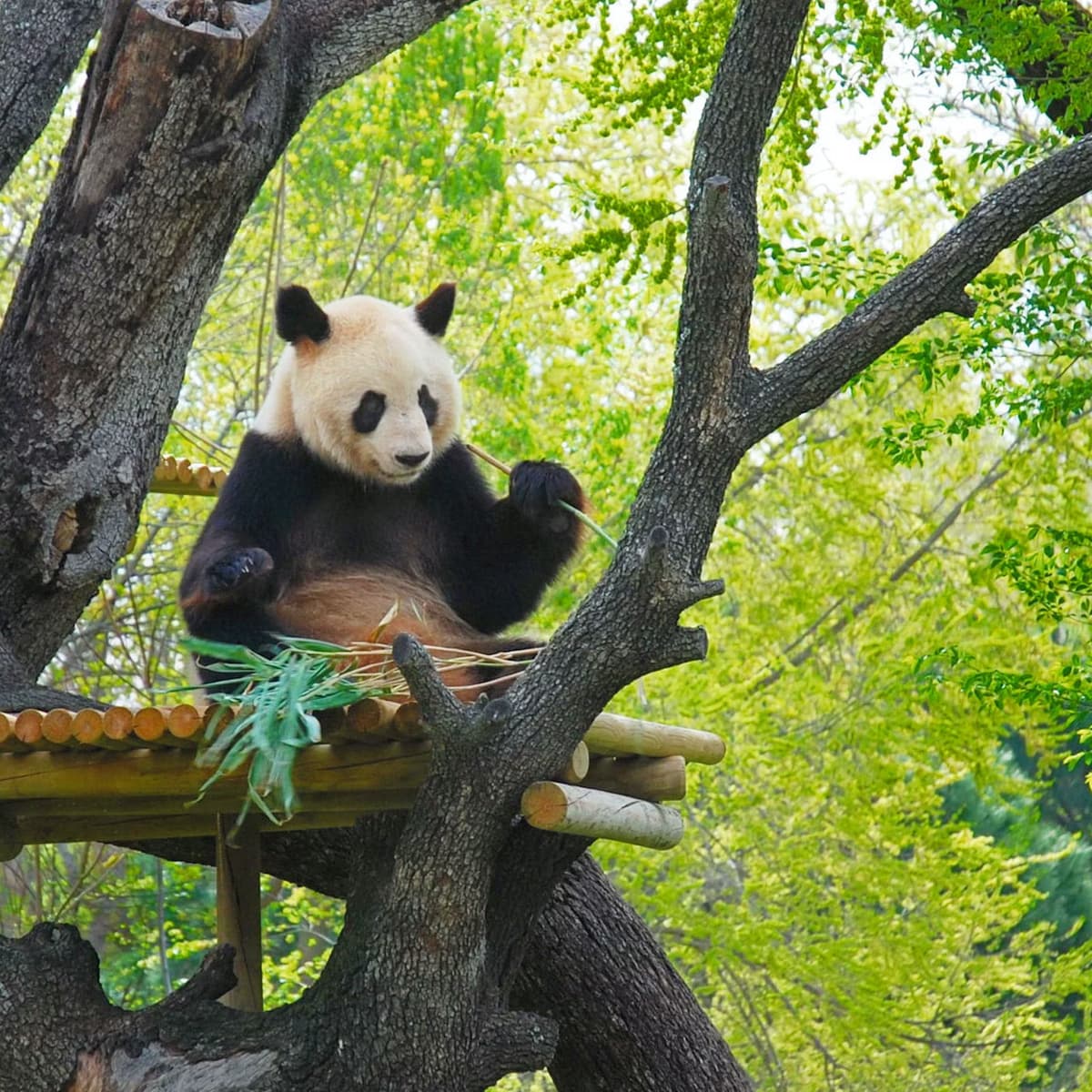 Zoo Aquarium Madrid