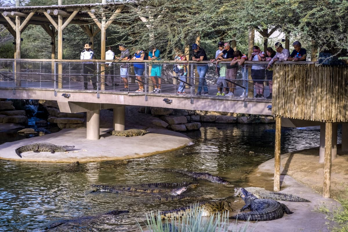 COMBO: Dubai Dolphinarium + Dubai Crocodile Park Tickets