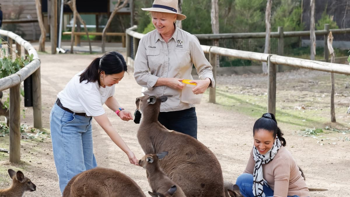 Moonlit Sanctuary Wildlife Conservation Park Ticket
