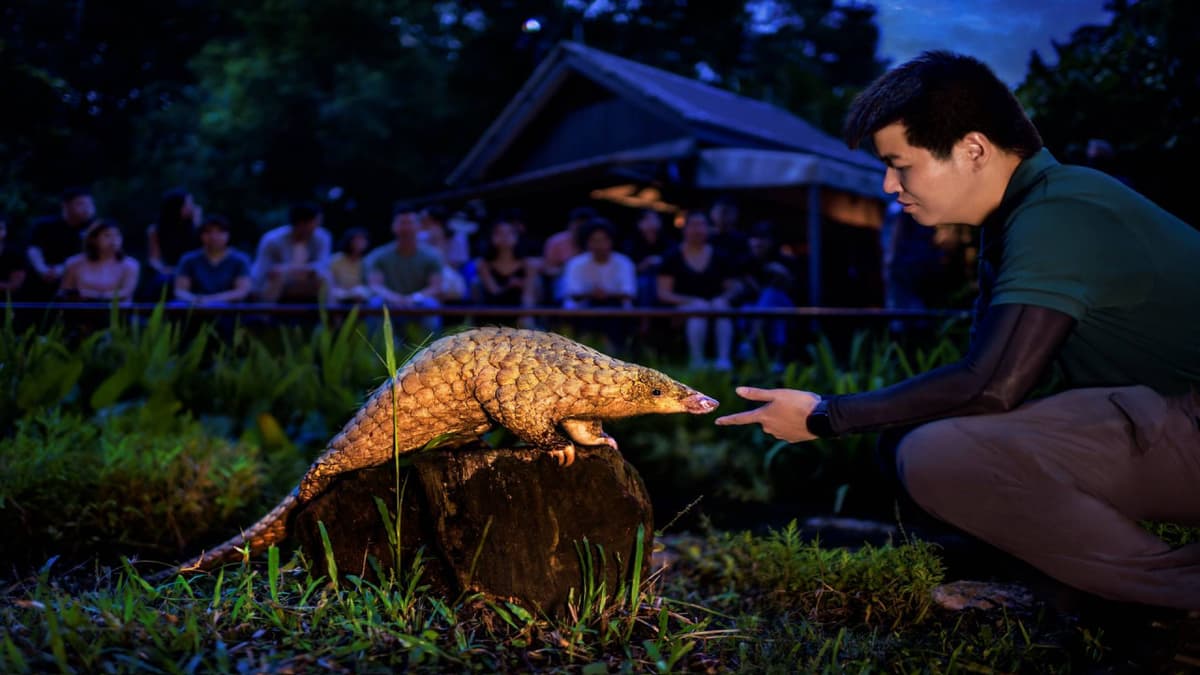 Singapore Night Safari Ticket