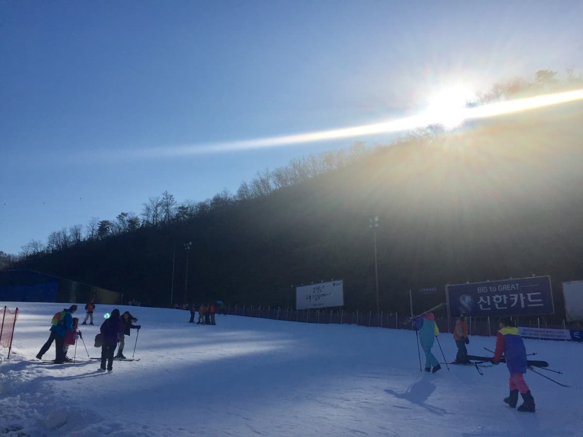 Elysian Gangchon Ski Resort and Nami Island Full-Day Tour from Seoul