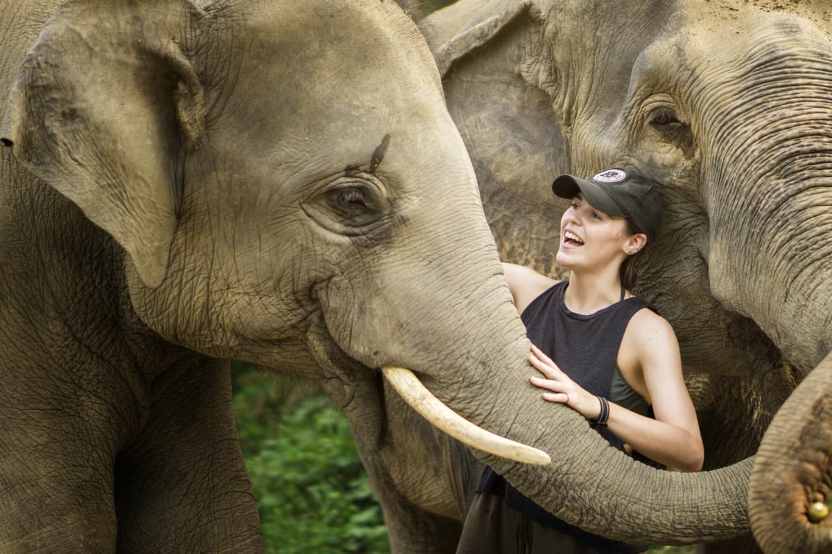 Elephant Jungle Sanctuary Pattaya