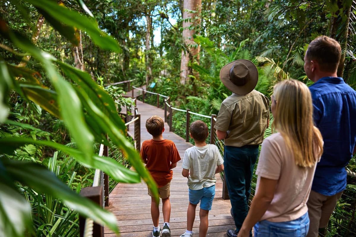Skyrail Rainforest Cableway with Optional Kuranda Scenic Train Ticket and Hotel Pick-Up
