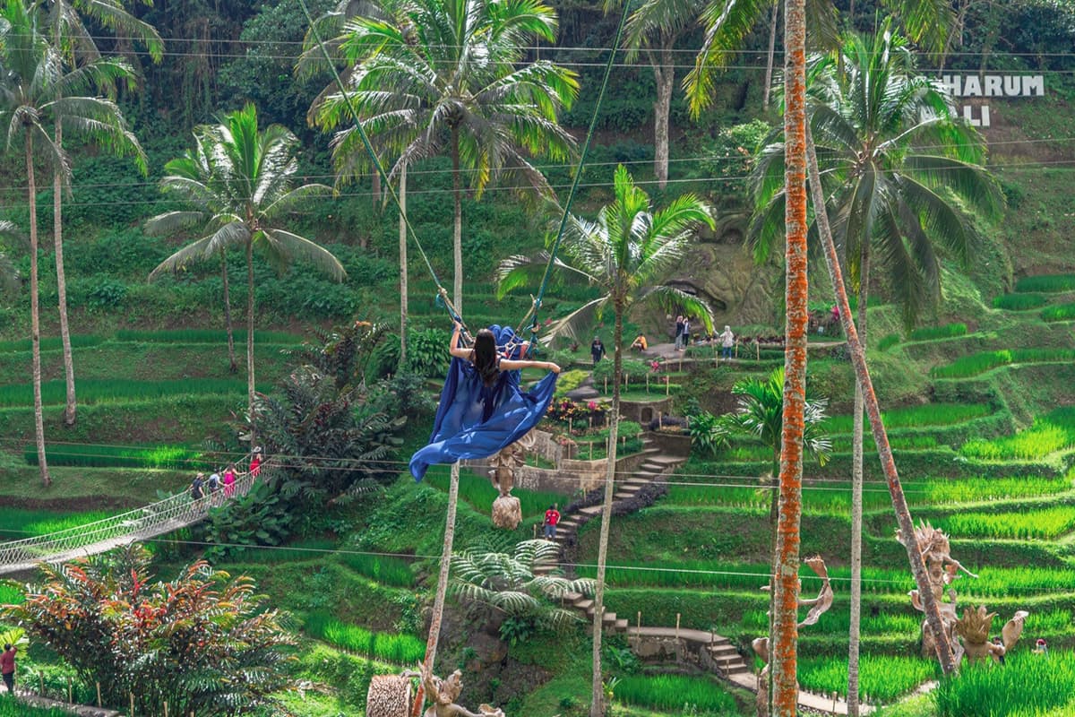 Alas Harum Bali: Swing, Skybike, and Zipline