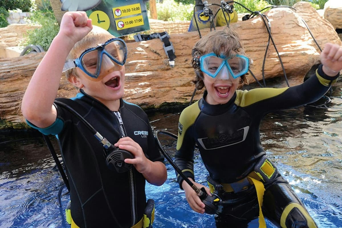 Palma Aquarium: Skip The Line Ticket + Optional 3D Cinema Aquadome
