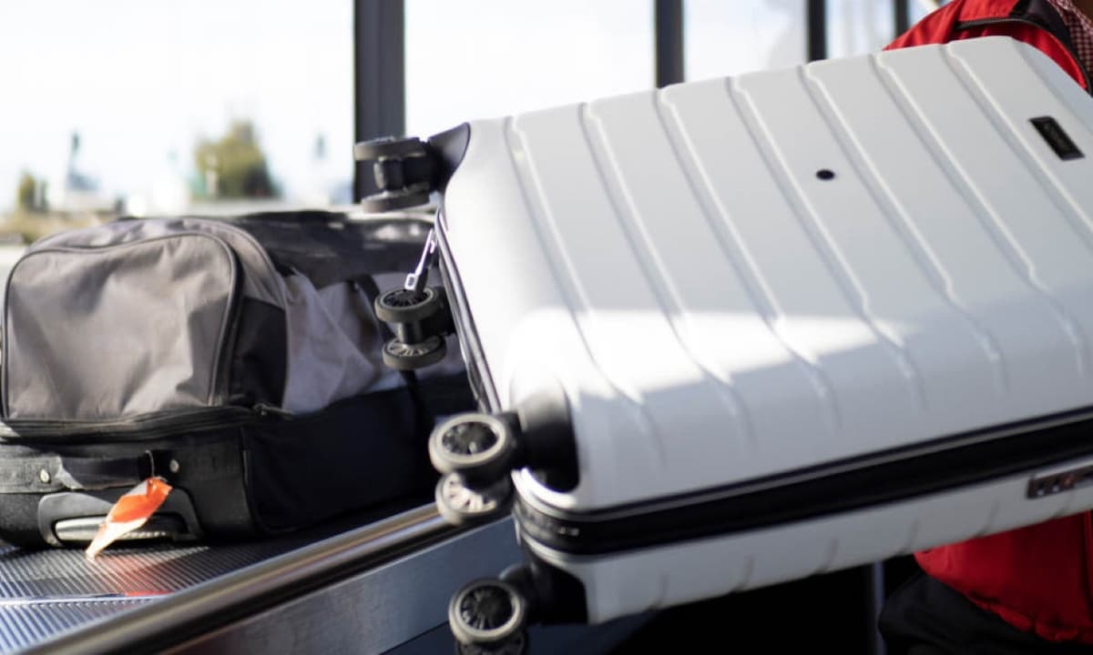 SkyBus Hobart City Express Airport Transfer