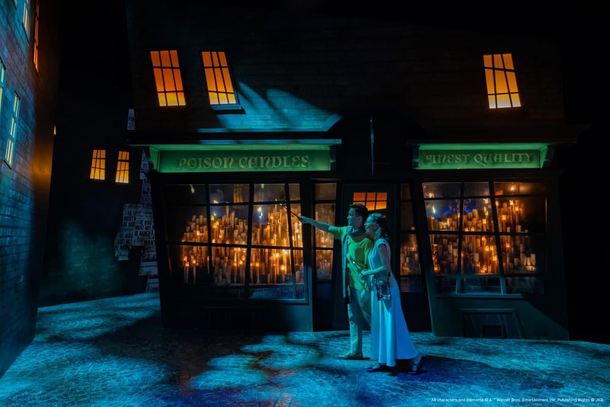Harry Potter: Visions of Magic