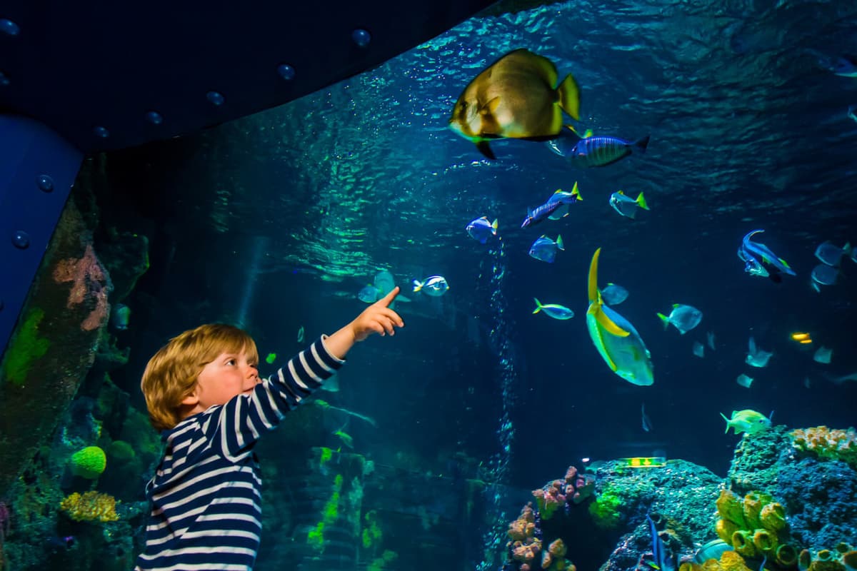 SEA LIFE Konstanz Aquarium Ticket