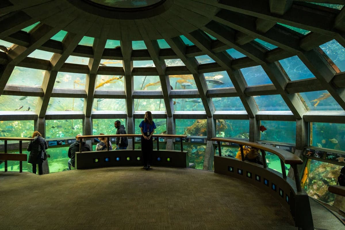 Seattle Aquarium Ticket