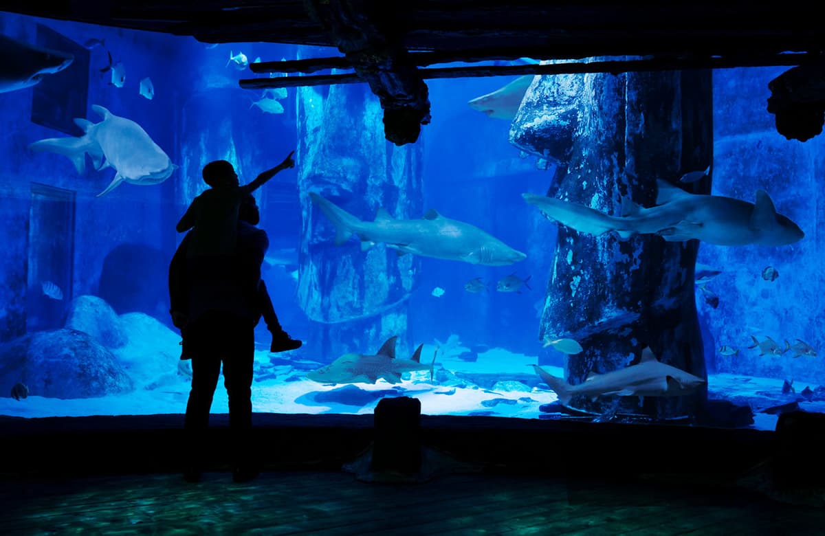 COMBO: Madame Tussauds London + SEA LIFE London Aquarium Ticket
