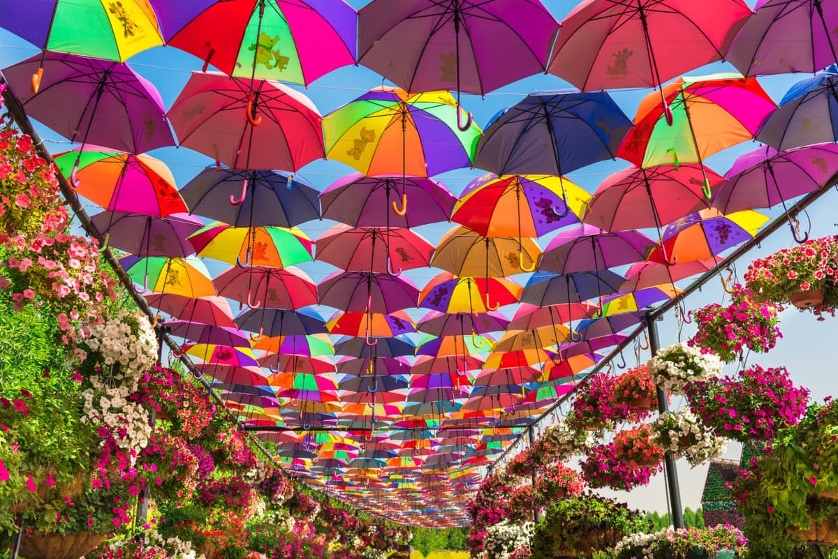 COMBO: Dubai Miracle Garden + Dubai Butterfly Garden Tickets
