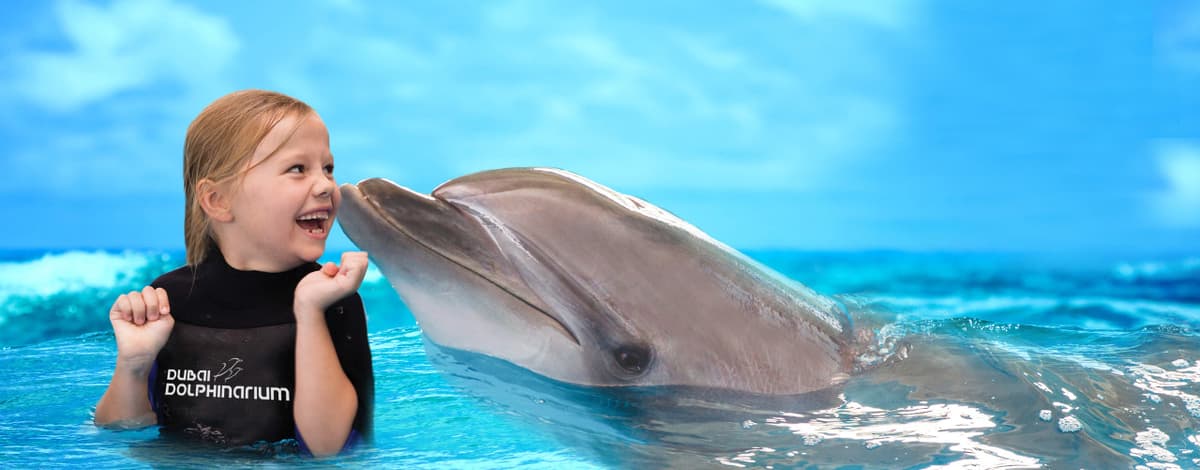 Dubai Dolphinarium Ticket